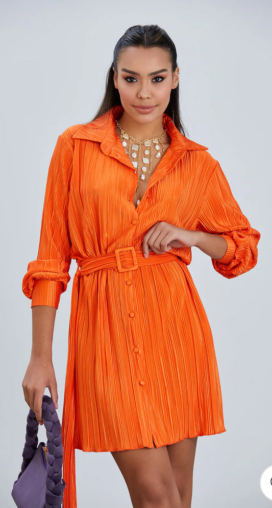 Katie Long Sleeve Pleated Shirt/Dress